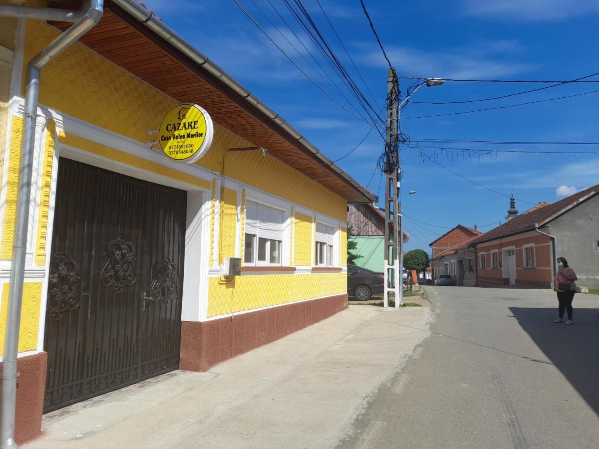 Gasthaus Casa Valea Morilor Eftimie Murgu Exterior foto